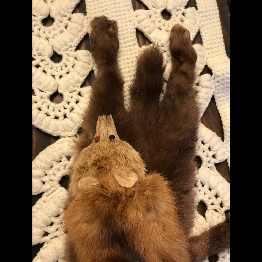 Fox Fur Stahl Vintage Authentic RARE - Picture 8 of 8